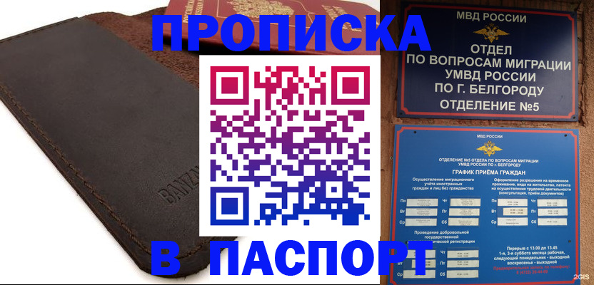 временная регистрация гарантия в Видном